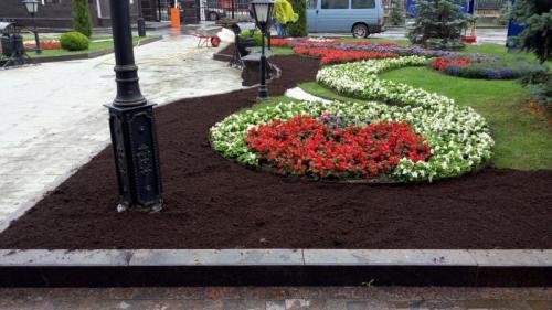 Как посадить на своем участке: полезные советы и рекомендации 03