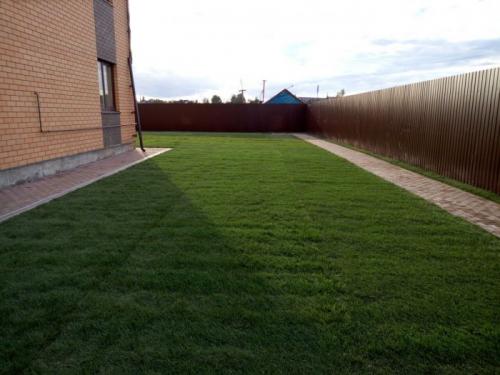 Как посадить на своем участке: полезные советы и рекомендации 04