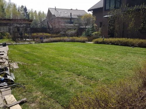 Как посадить на своем участке: полезные советы и рекомендации 05