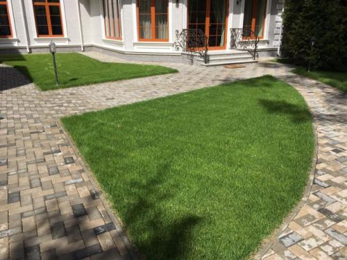 Как посадить на своем участке: полезные советы и рекомендации 06