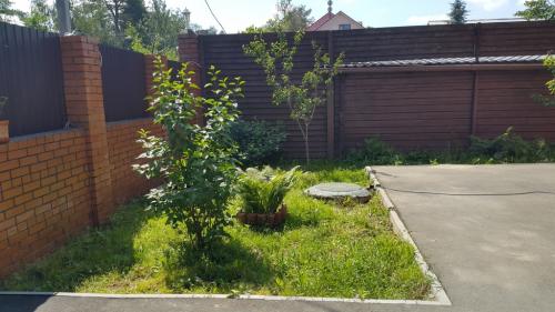 Как выбрать подходящее место для посадки плодовых деревьев и кустарников