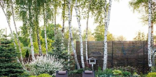 Узнайте о 23 видах ягодных кустов и плодовых кустарников для дачи 20 Узнайте о 23 видах ягодных кустов и плодовых кустарников для дачи 20