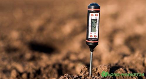 Выбор идеального сорта плодового дерева для вашего сада 12 Выбор идеального сорта плодового дерева для вашего сада 12