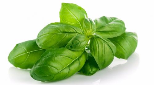 Какие пряные травы используют для приготовления блюд. Как правильно использовать пряные травы 03