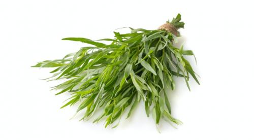 Какие пряные травы используют для приготовления блюд. Как правильно использовать пряные травы 04