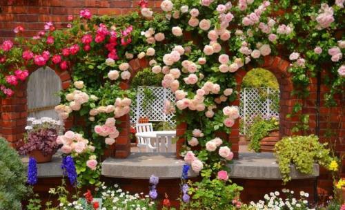 22 лучших вида и сорта роз. ТОП 50 лучших новых сортов роз [god] года с описанием и характеристиками 17