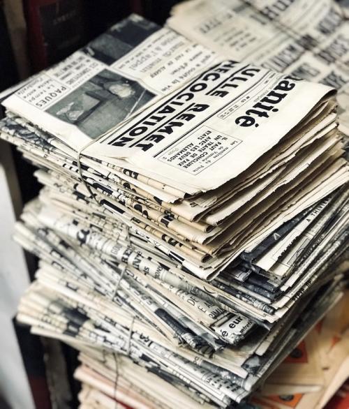 В саду растет трава. Особенности выращивания чайных трав в саду 06