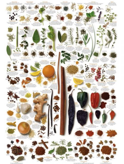 Специи таблица. Идеальная шпаргалка: какие пряности к чему подходят! в закладки 53