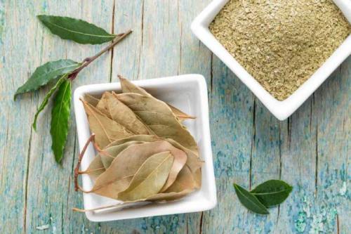 Общее описание пряно-вкусовых растений. Целебные свойства пряных и вкусовых растений 06