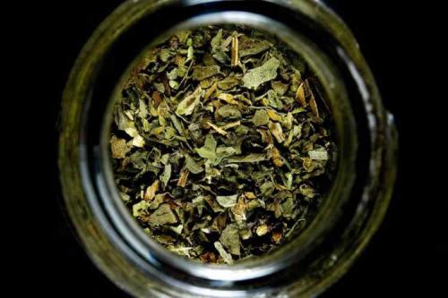 Общее описание пряно-вкусовых растений. Целебные свойства пряных и вкусовых растений 05