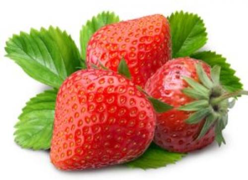 Почему слизни выползают ночью. Методы борьбы со слизнями в домах и подвальных помещениях