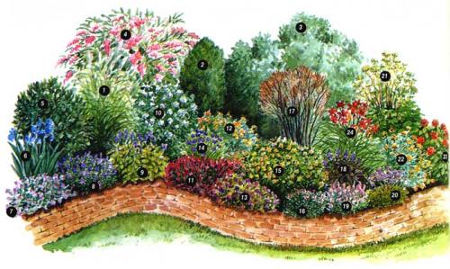 Зеленые и пряно-вкусовые травы на вашем участке. Холодоустойчивые 15