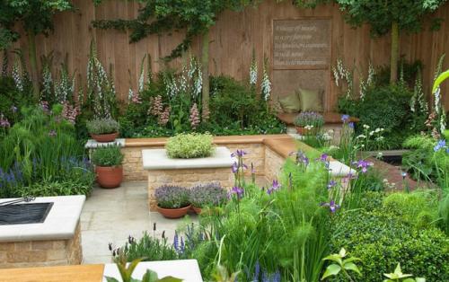 Зеленые и пряно-вкусовые травы на вашем участке. Холодоустойчивые 11