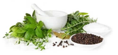 Зеленые и пряно-вкусовые травы на вашем участке. Холодоустойчивые 05