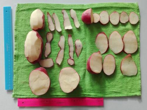 Картофель сорт Рокко цвет в середине. Сорт картофеля Рокко