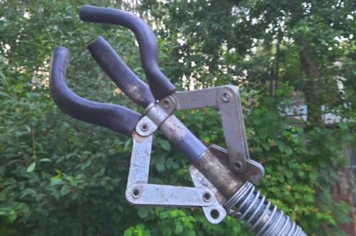 Как собрать ягоды с кустарников на даче. Тонкости и хитрости. Какими способами собирают плоды и ягоды