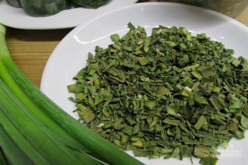 Можно ли сушить лук в микроволновке. Как засушить зеленый лук в домашних условиях