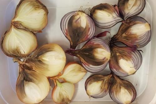 Какие проблемы могут возникнуть при хранении обрезанного лука. Болезни