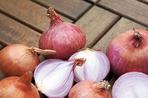 Эти простые правила помогут сохранить урожай лука.. Средние сроки и способы уборки для разных видов лука