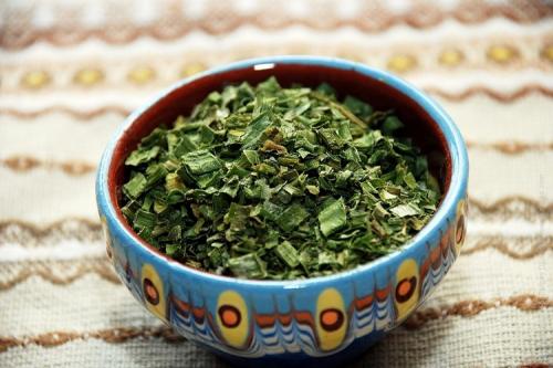 Можно ли сушить лук в микроволновке. Как засушить зеленый лук в домашних условиях