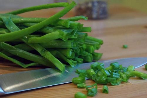 Можно ли сушить лук в микроволновке. Как засушить зеленый лук в домашних условиях