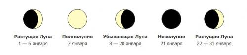 Что можно сажать сегодня на рассаду. Лунный посевной календарь садоводов и огородников на 2023 год с основными рекомендациями по месяцам