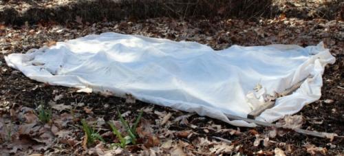 Какие особенности имеет лук, выращенный на зиму, по сравнению с лук, выращенным в другие сезоны. Посадка лука под зиму