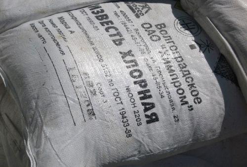 Как сохранить клубнику от слизней. Как бороться со слизнями на клубнике: самые эффективные методики садоводов