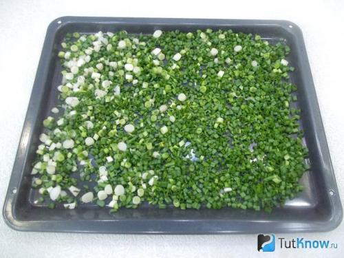 Лучшие практики сушки лука после уборки: проверенные методы 06 Лучшие практики сушки лука после уборки: проверенные методы 06