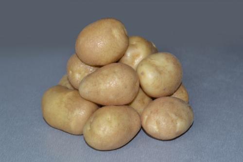 Удача картошка характеристика. Описание и характеристика сорта
