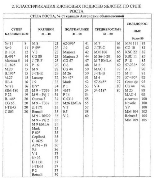 Как выбрать подходящий карликовый подвой для яблони. ТИПЫ ПОДВОЕВ И ХАРАКТЕРИСТИКА ИХ БИОЛОГИЧЕСКИХ ОСОБЕННОСТЕЙ
