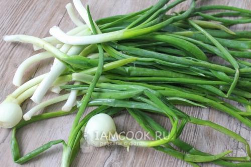 Лучшие практики сушки лука после уборки: проверенные советы 09 Лучшие практики сушки лука после уборки: проверенные советы 09