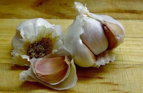 Как можно использовать сушеный лук и чеснок в косметических целях. Использование в народной медицине