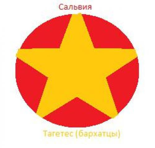 Однолетние цветы для создания клумбы. Где посадить однолетники Как же правильно разместить однолетние цветы в саду, в какой роли их лучше использовать, какие виды подобрать для разных композиций? Давайте разберемся в этом более подробно. 10 Однолетние цветы для создания клумбы. Где посадить однолетники Как же правильно разместить однолетние цветы в саду, в какой роли их лучше использовать, какие виды подобрать для разных композиций? Давайте разберемся в этом более подробно. 10