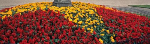 Однолетние цветы для создания клумбы. Где посадить однолетники Как же правильно разместить однолетние цветы в саду, в какой роли их лучше использовать, какие виды подобрать для разных композиций? Давайте разберемся в этом более подробно. 11 Однолетние цветы для создания клумбы. Где посадить однолетники Как же правильно разместить однолетние цветы в саду, в какой роли их лучше использовать, какие виды подобрать для разных композиций? Давайте разберемся в этом более подробно. 11