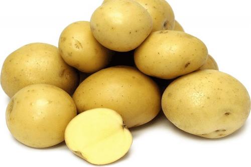 Сорт картофеля Гала. Описание сорта картофеля Гала