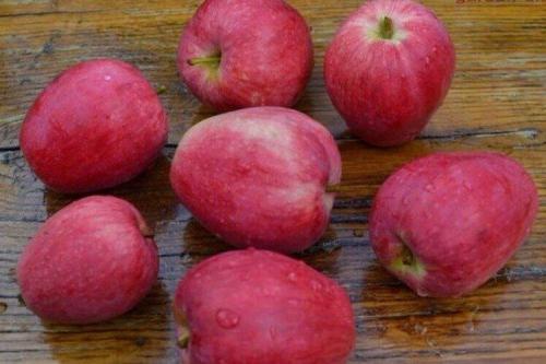 Самое вкусное яблоко. Лучшие сорта яблок: фото, названия и описания (каталог)