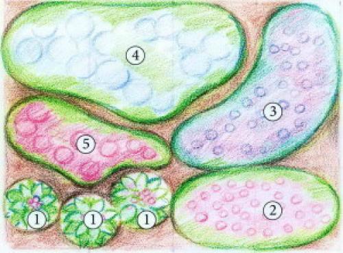Схемы клумб из многолетников для тени. Варианты цветников в тени