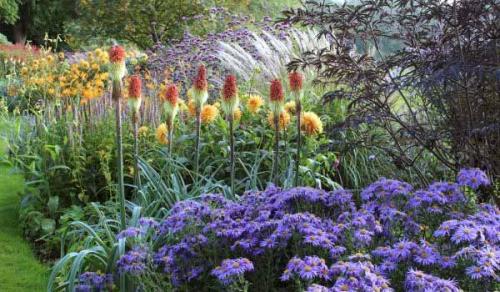 С этими цветами ваша клумба будет цвести все лето. Приемы для создания клумбы цветущей все лето