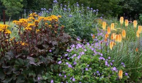 С этими цветами ваша клумба будет цвести все лето. Приемы для создания клумбы цветущей все лето