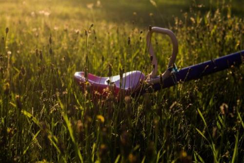 Можно ли использовать почвопокровные растения для создания газона.  Почвопокровные многолетники