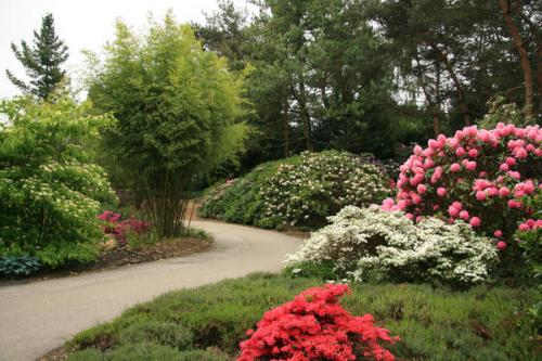 Красивоцветущие кустарники для сада. Сад цветущих кустарников: какие растения выбрать
