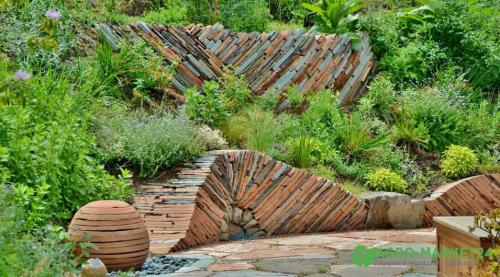 Вечнозелёные почвопокровные растения: топ-15 для красивого участка 21