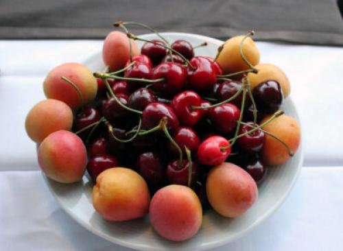 Что посадить рядом с черешней. Что можно посадить рядом с черешней: соседство с плодовыми деревьями, кустарниками, зеленью