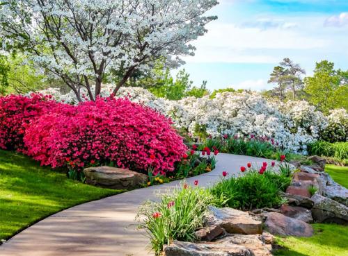 Кустарники для дачи. Многолетние декоративные кустарники для дачи – названия и описания, фото