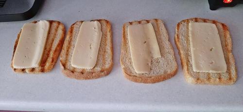 Насколько эффективно и удобно использовать электрогриль для приготовления шашлыка. Как приготовить вкусные мясо, птицу и рыбу на электрогриле