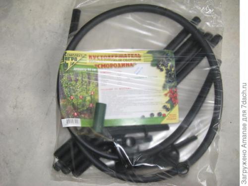 Как поддерживать оптимальную температуру и влажность для ягодных кустов. Пара секретов, как поддержать урожай ягодных кустарников в жаркой местности