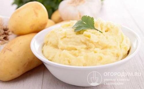 Картофель Адретта знаю с детства. Клубни