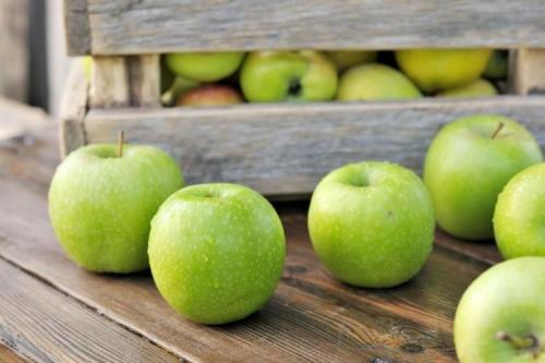 Сорта яблок. Зеленые яблоки: лучшие сорта с названиями и фото (каталог)