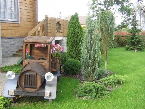 Вечнозеленые деревья для сада. Варианты использования